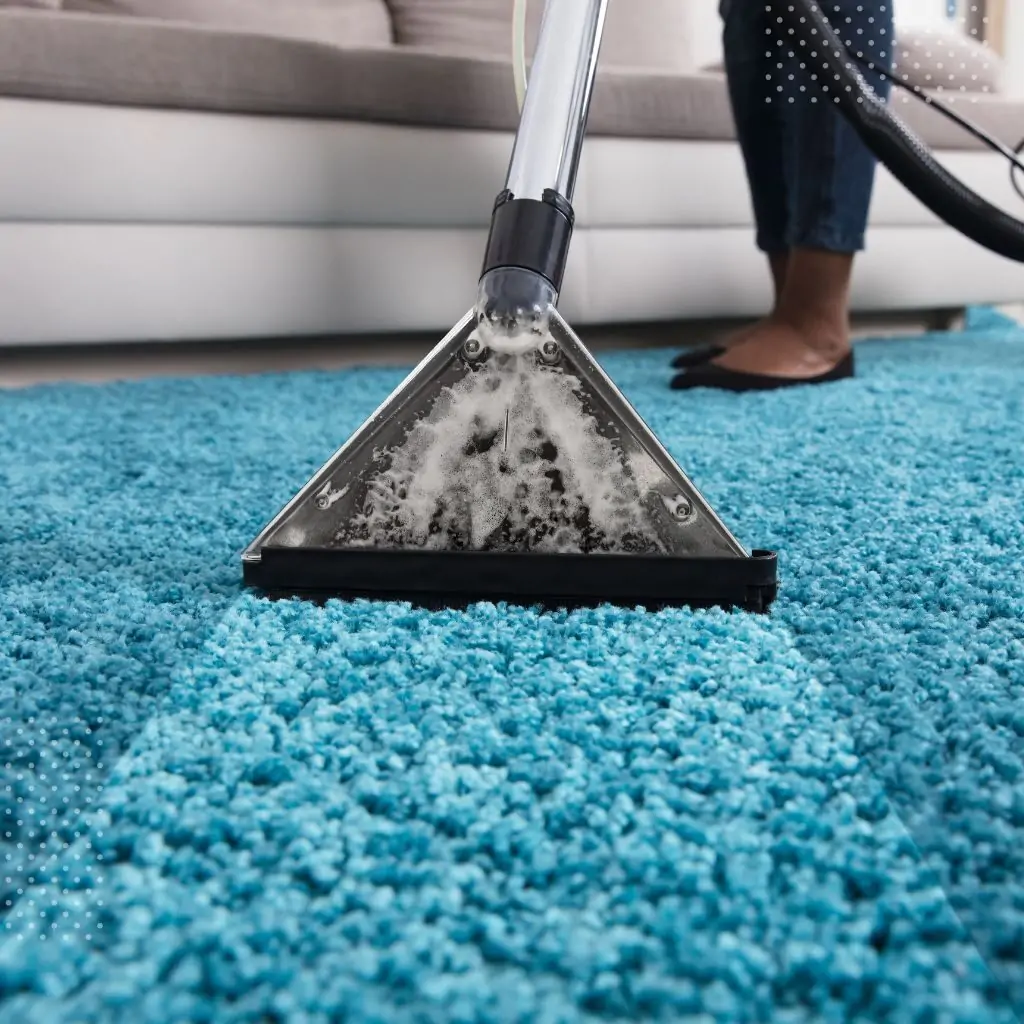 Carpet Cleaning Service in Griffith
